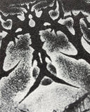 Retro Raw Edge Graphic Tees | Inflation Streetwear